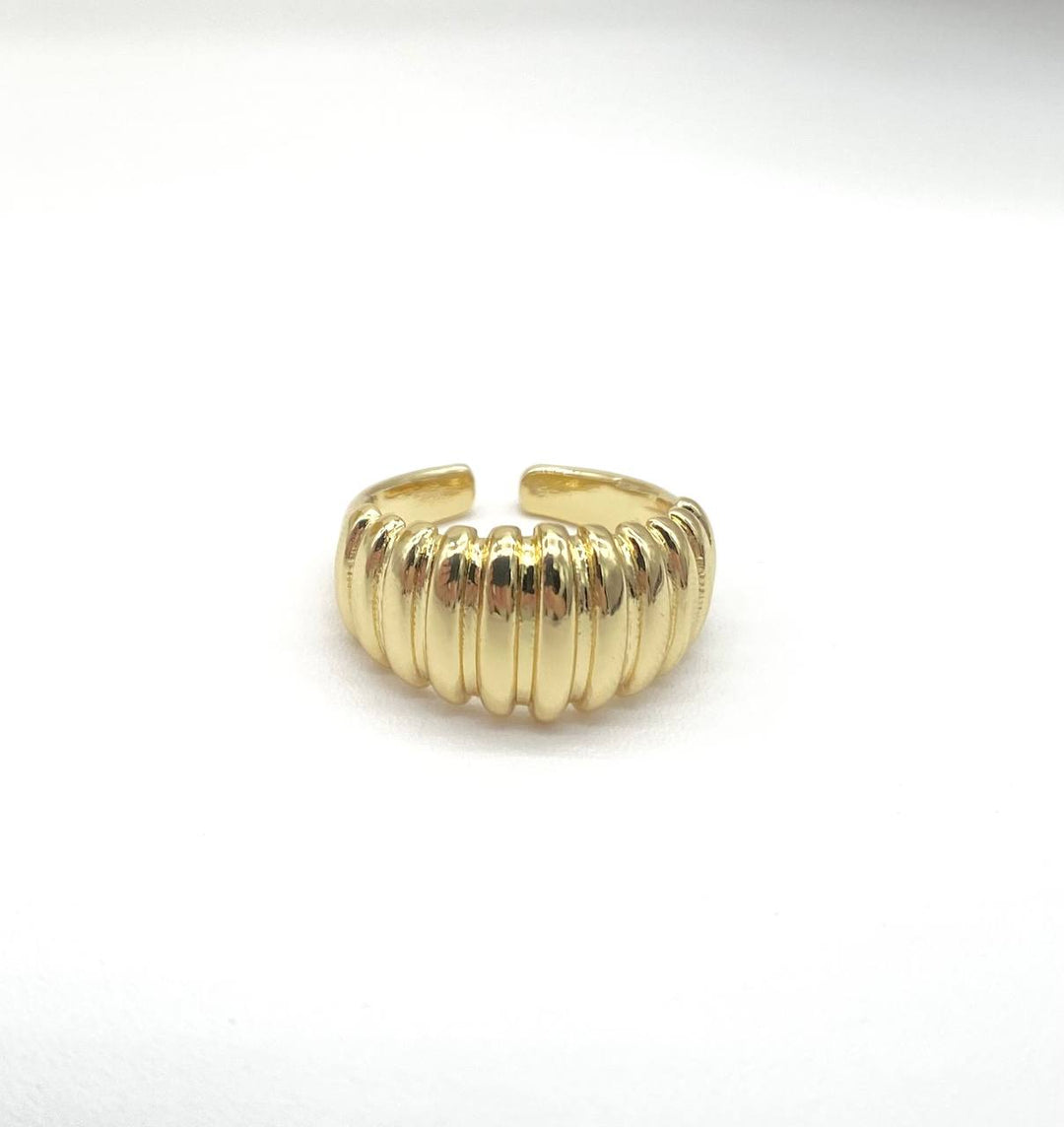 ANILLO LADIN