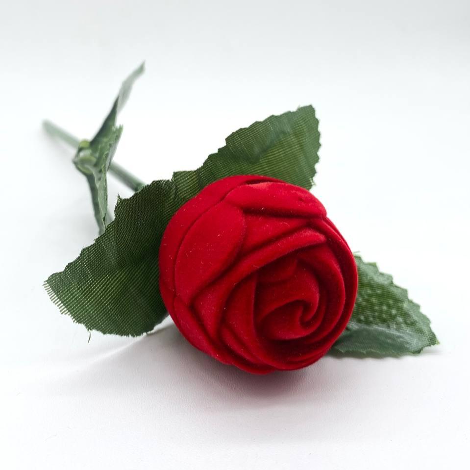 ESTUCHE ROSA