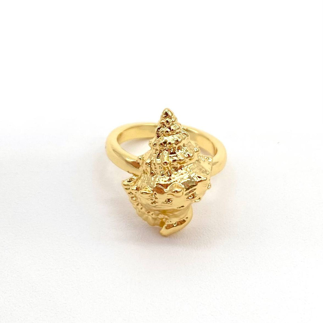ANILLO CARACOL