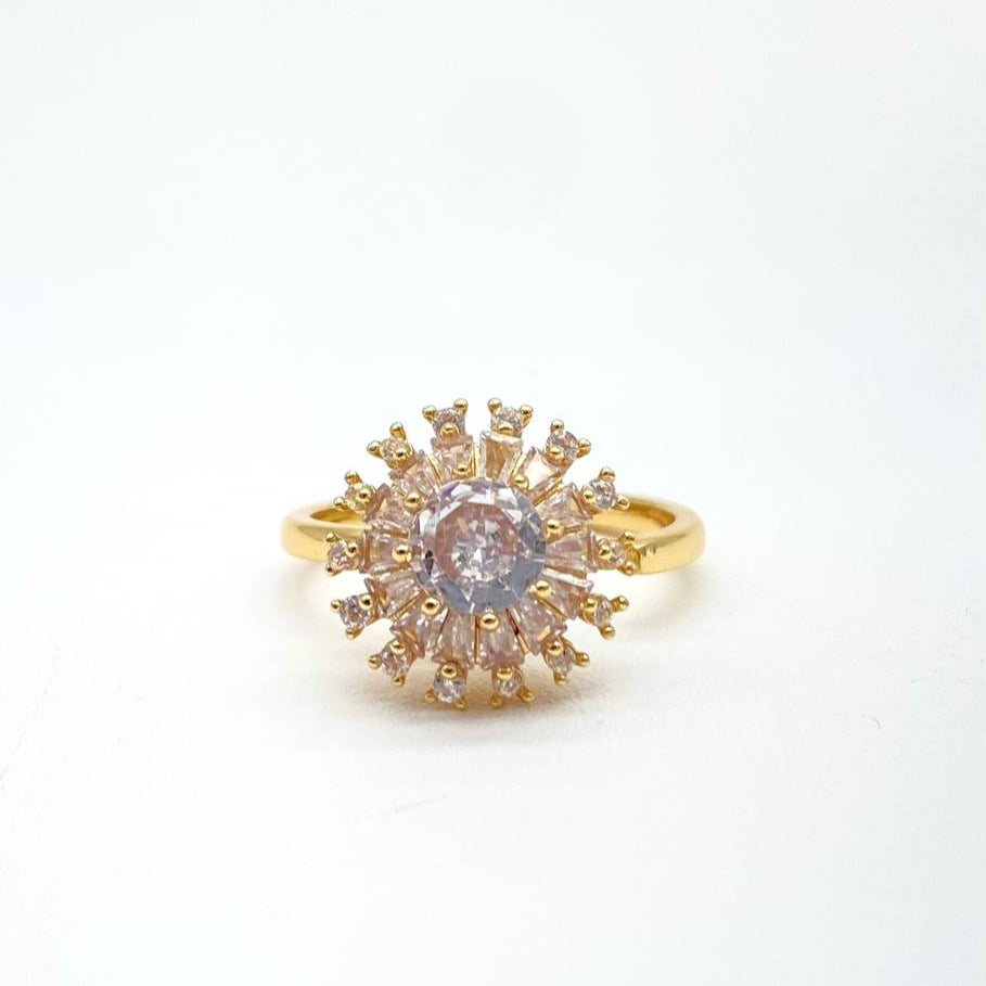 ANILLO GIRATORIO