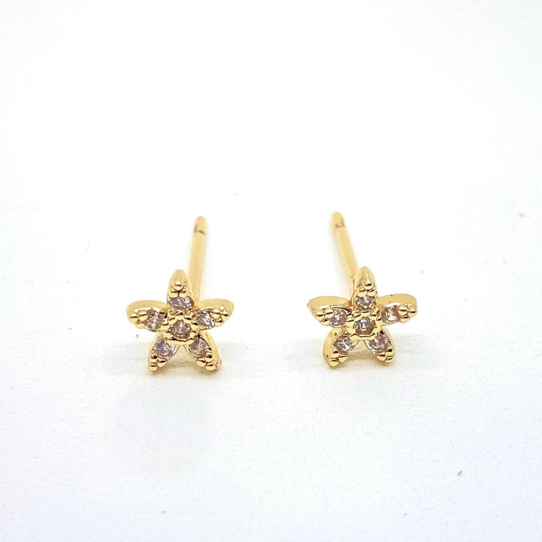 BROQUEL CHAPA DE ORO 18K