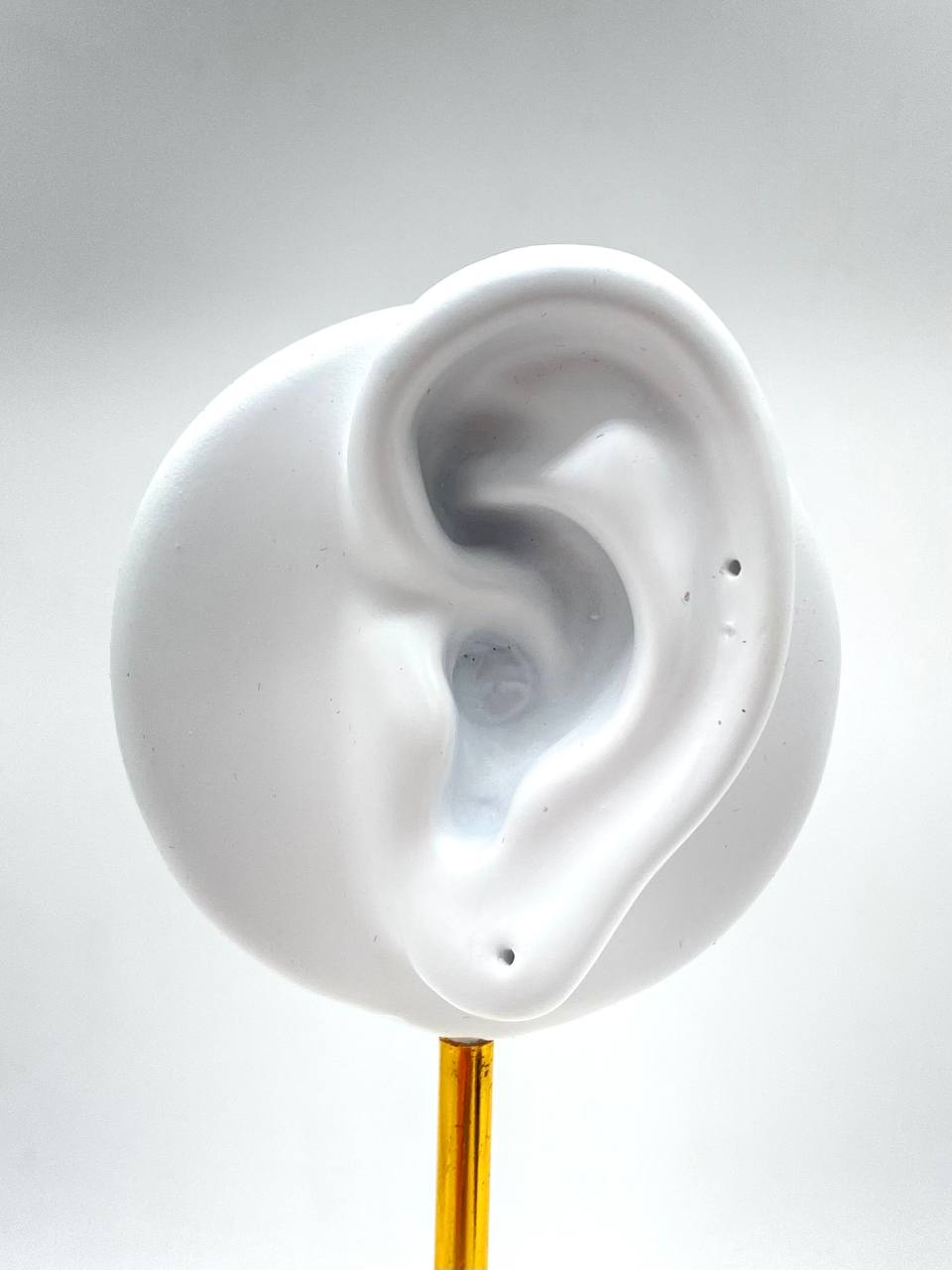 EXHIBIDOR OREJA