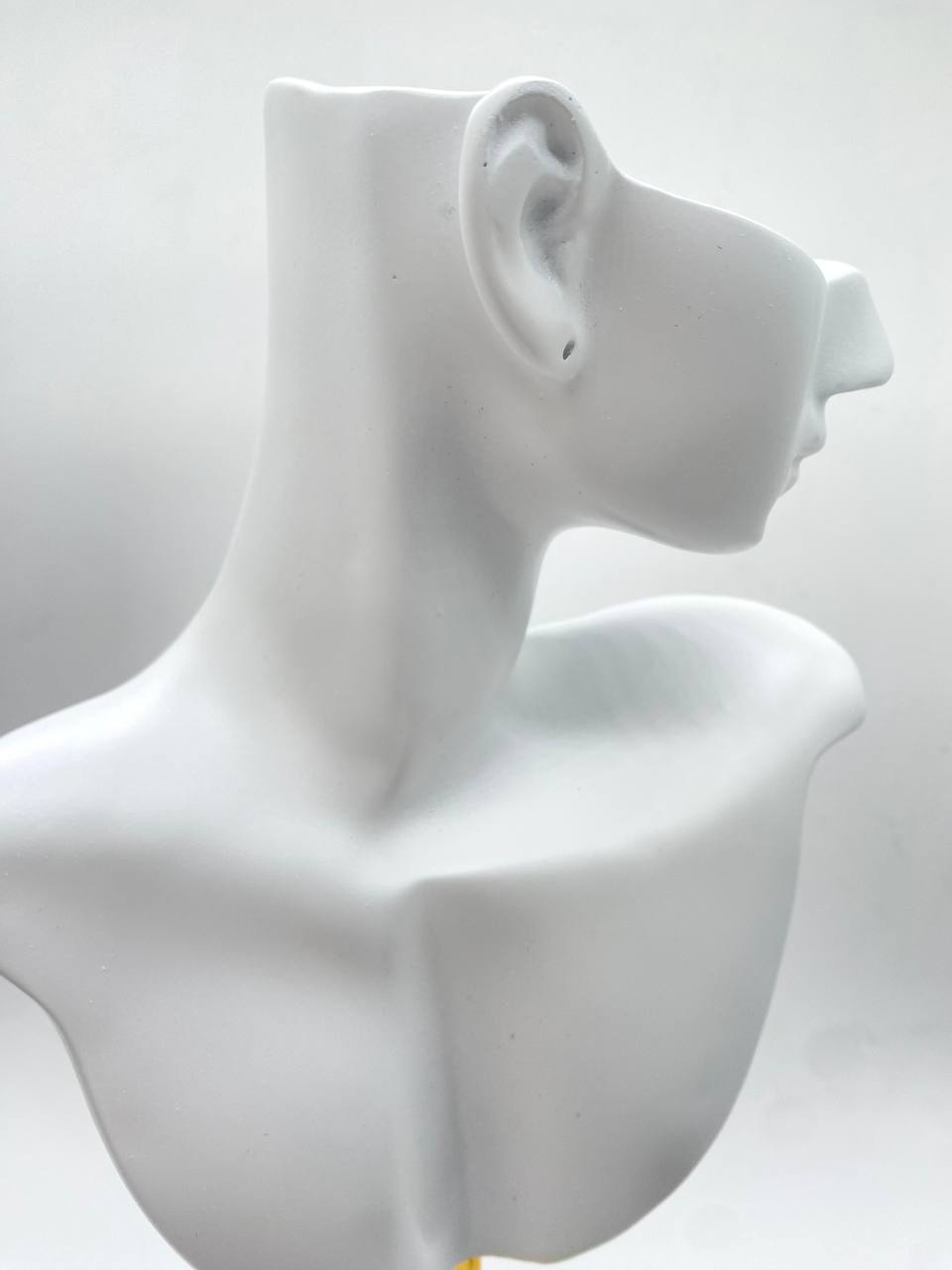 EXHIBIDOR CUELLO
