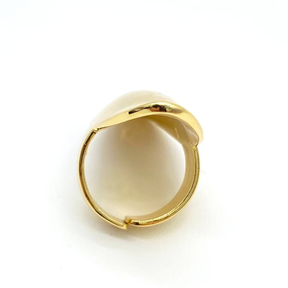 ANILLO PLACA
