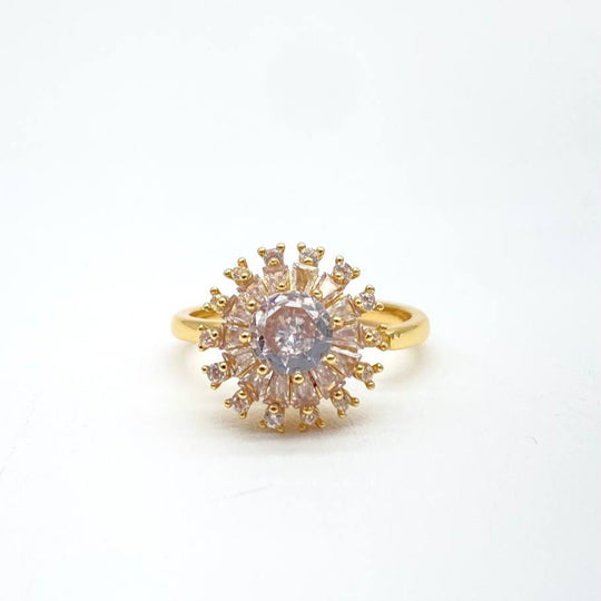 ANILLO GIRATORIO
