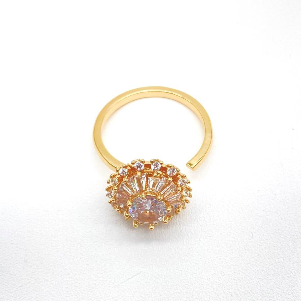 ANILLO GIRATORIO